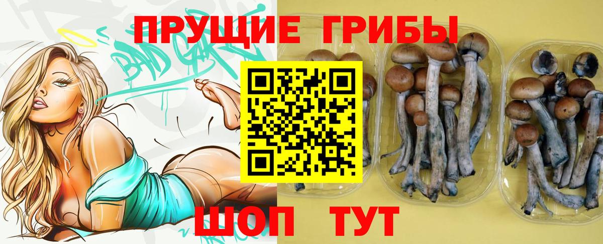 Псилоцибиновые грибы Psilocybine cubensis  Галлюциногенные грибы Cubensis  Дивногорск  Вход с VPN 