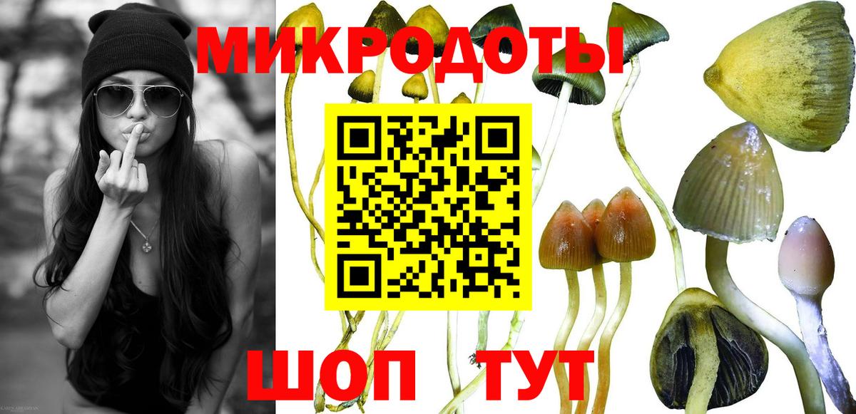 Псилоцибиновые грибы ЛСД Дивногорск